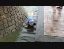 【馬見丘陵公園：北エリア】馬見の泉（石の山）で遊ぶあい❤ワニ歩き　お出かけ　水遊び　外遊び