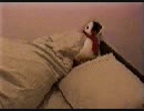 bedroom2000まつさま