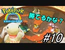 【実況】ピカチュウと大冒険！ピョンっと友達できるかな？#10【ポケパークWii】