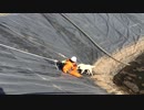ママ犬と子犬は人が助けてくれると信じている