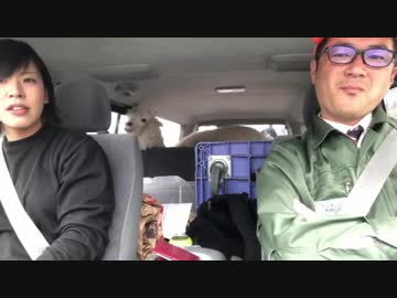 くどうおねえさんと師匠の車内トーク