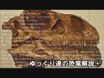 ゆっくり達の恐竜解説＋　第十回：スピノサウルス