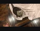 必死に話しかけてくるけどカワウソ語だからわからない
