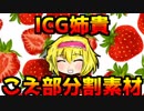 ICG姉貴 こえ部分割素材配布