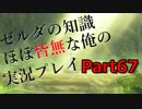 【ゼルダの伝説ブレスオブザワイルド】ゼルダの伝説の知識ほぼ皆無な俺の実況プレイpart67【初見プレイ】