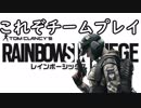 20代男性が今更レインボーシックスシージを始めてみた。　その１０(でびきんコラボ回)