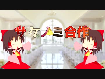 サケノミ虐待合作2018summer