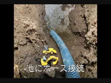 童心に帰って、ちょいと日本庭園作り　其の六