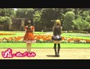 【踊ってみた】嘘とぬいぐるみ【ヲルとみーくん。】