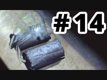 【実況】初めての「ピクミン２」 #14