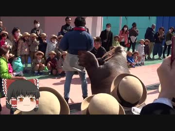 ゆっくりれいむのアクア放浪記　#40　伊勢シーパラダイス