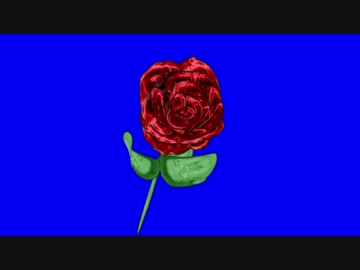 ガバ薔薇ダディとバラガバゾンBB