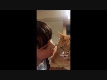 【癒される】【かわいい】TikTokペット動画7！【TikTok】