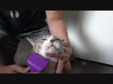 【モアクリ】 モフモフの音