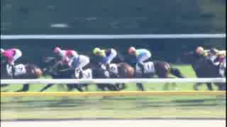 《オジュウチョウサン 2戦目》2013/11/16 東京4R 2歳未勝利【ベルキャニオン】