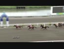 2018年7月1日高知競馬6R 那俄性厩舎一同協賛 ルイ、お疲れ様特別(C2-ロ・C3-ニ) パールアッシュ