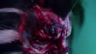 金光の人形劇 『金光御九界之鬼途奇行録』 《 理性を失う巨獣 》 風逍遙 VS 閻魔十衆 纣絶