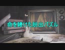 ♯40+3 ビビりをニヤニヤしながら見たい人向けバイオハザード7