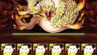 【パズドラ】白蛇の地下迷宮 最終層 たまドラ【実況】