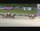 2018年7月3日川崎競馬11R 第６７回橋本七夕まつり記念(B1-二・B2-一) アポロナイスジャブ