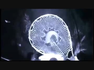 7.03 【魚釣り】深夜のどぶさらい