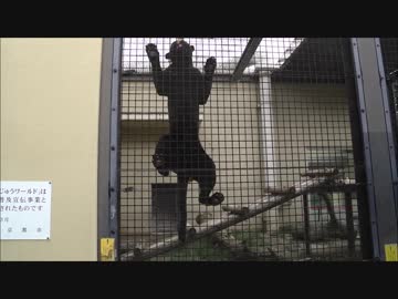 きょうのジャガー part15
