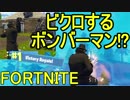 【日刊】初心者だと思ってる人のフォートナイト実況プレイPart12【Switch版Fortnite】