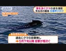 海を泳ぐクマ撮影　宮城・気仙沼の島で目撃相次ぐ