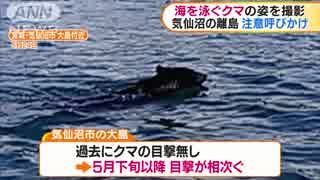 海を泳ぐクマ撮影　宮城・気仙沼の島で目撃相次ぐ