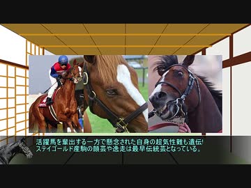 【ゆっくり解説】キンイロリョテイとは何者なのか　後編【ウマ娘】