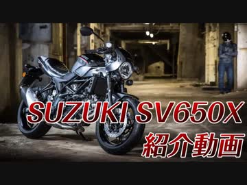 【新車紹介】SUZUKI SV650X, Start Off !!