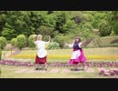 【りぃさ×たいつ】林檎売りの泡沫少女　踊ってみた【満開のお花畑】