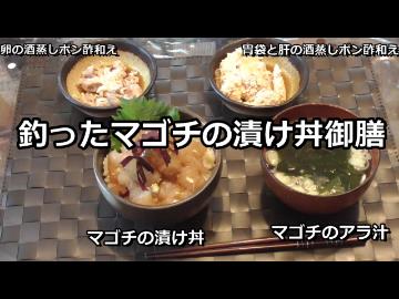 人気の 茨城海釣り 動画 10本 ニコニコ動画