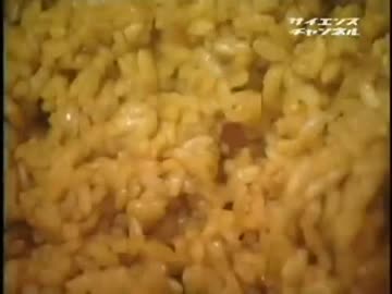 ホモと学ぶコンビニエンスのお弁当ができるまで