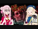 なんで？！バーチャルYouTuberヒメヒナで発売前のホラーゲームをやってみた！！【CLOSED NIGHTMARE】