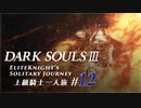 ダークソウル3ゆっくり実況 / 上級騎士一人旅・終章 #12「深淵の監視者」