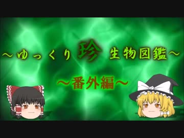 ～ゆっくり　珍　生物図鑑～　番外編28