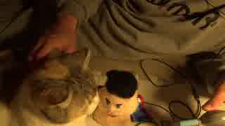 【音フェチ】雑な耳かき２