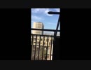 シャム警報