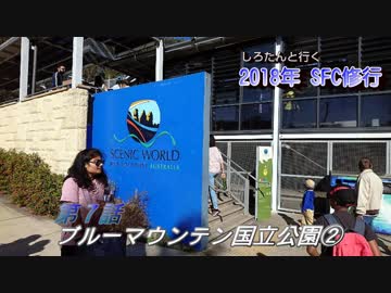 しろたんと行く　2018年ＳＦＣ修行　弾丸シドニー編　その７