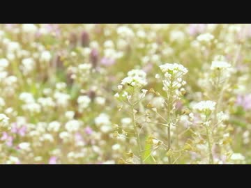 里山の風景 その1