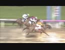 2018年7月6日川崎競馬11R キュンとするまち。藤沢杯(B2-二・B3-一) ウインブルースカイ