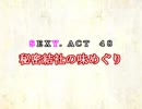［ゆっくり実況］チルノとハグレの王国SEXY.ACT48［ざくざくアクターズ］