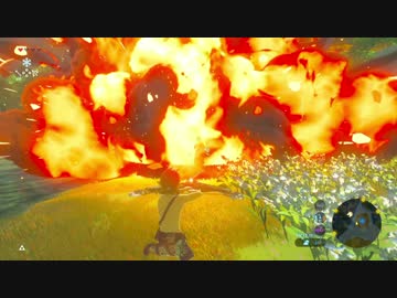 厄災かけますね.botw9