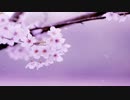 KOKIA  うす桃色の季節
