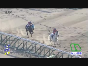 オジュウチョウサン　障害レース《6歳～7歳》