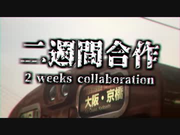 2 週 間 合 作