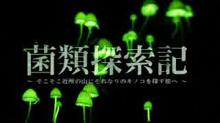 【キノコ狩り_20180623】 菌類探索記 「真っ暗闇の行軍」