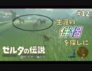 【実況】ゼルダ童貞による ゼルダの伝説BotW（ブレスオブザワイルド）~馬！馬！！馬ァ！！！~ Part12