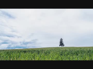 【オリジナル曲】フィールド(同人ゲーム - twiceRain - 提供)